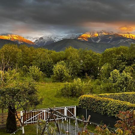 Wanderlust Cottage Avrig Buitenkant foto